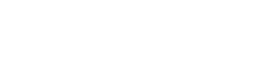 El Plan